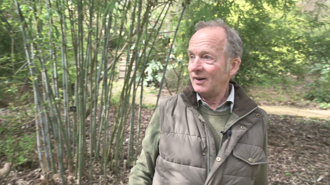Spring Tour of Abbotsbury Subtropical Gardens with Curator Steve Griffith