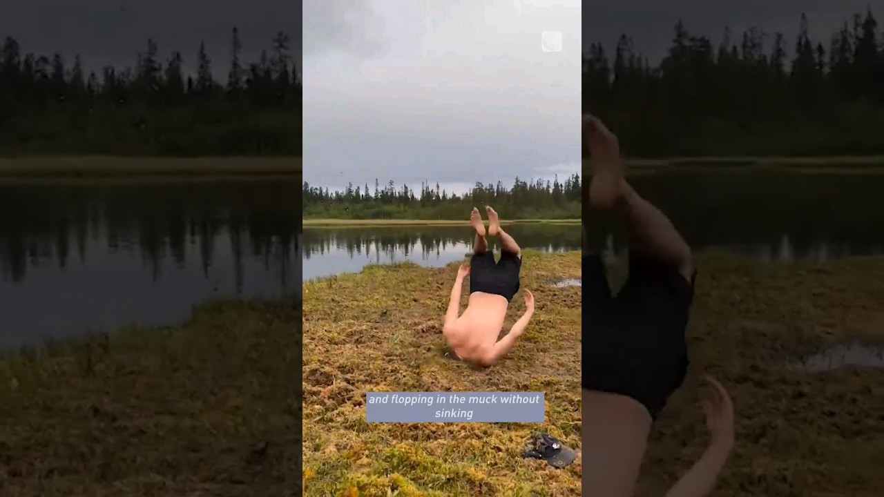 Best swamp ever! Friends splat head-first into unique bog #swamplife #norway #funny