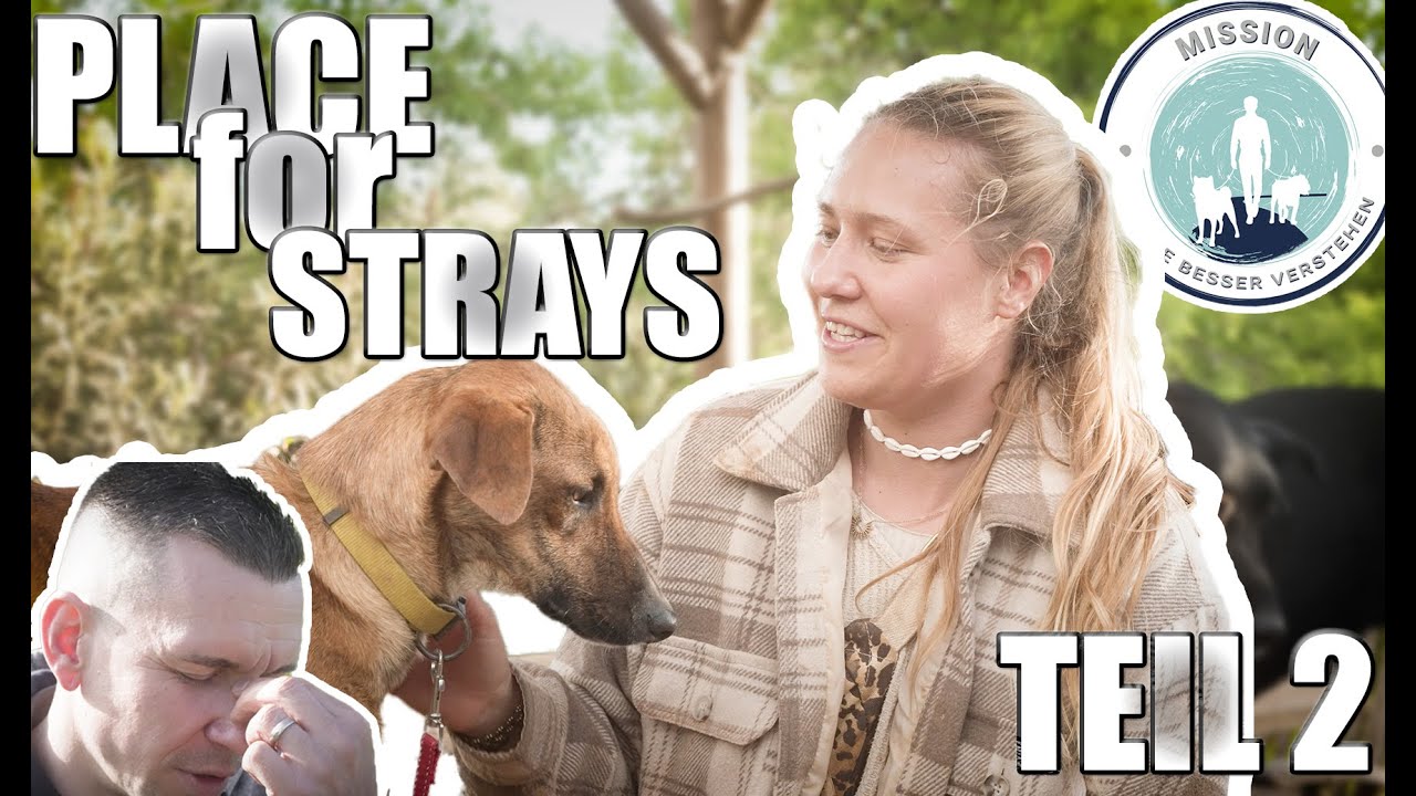 HUNDE AUS DER MÜLLTONNE RETTEN? | PLACE for STRAYS | TEIL 2
