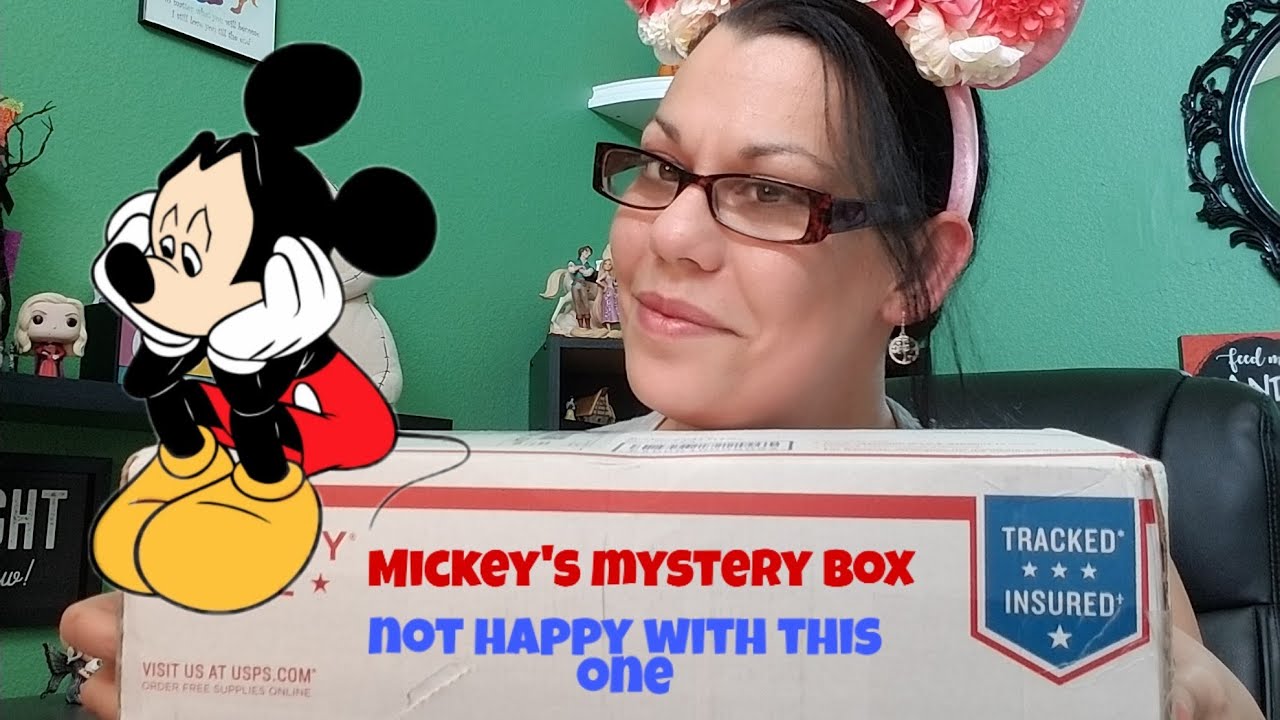 Mickey&rsquo;s Mystery box ,this one didn&rsquo;t thrill me