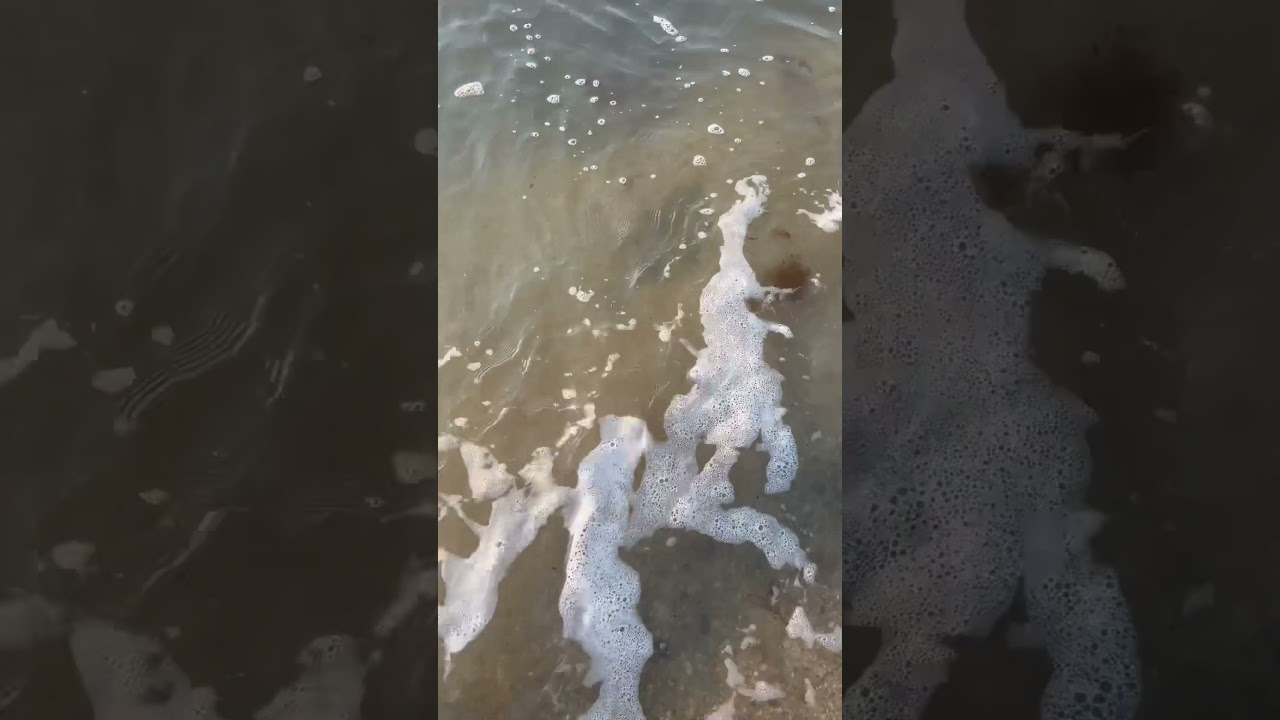 Surf Fishing for Flounder