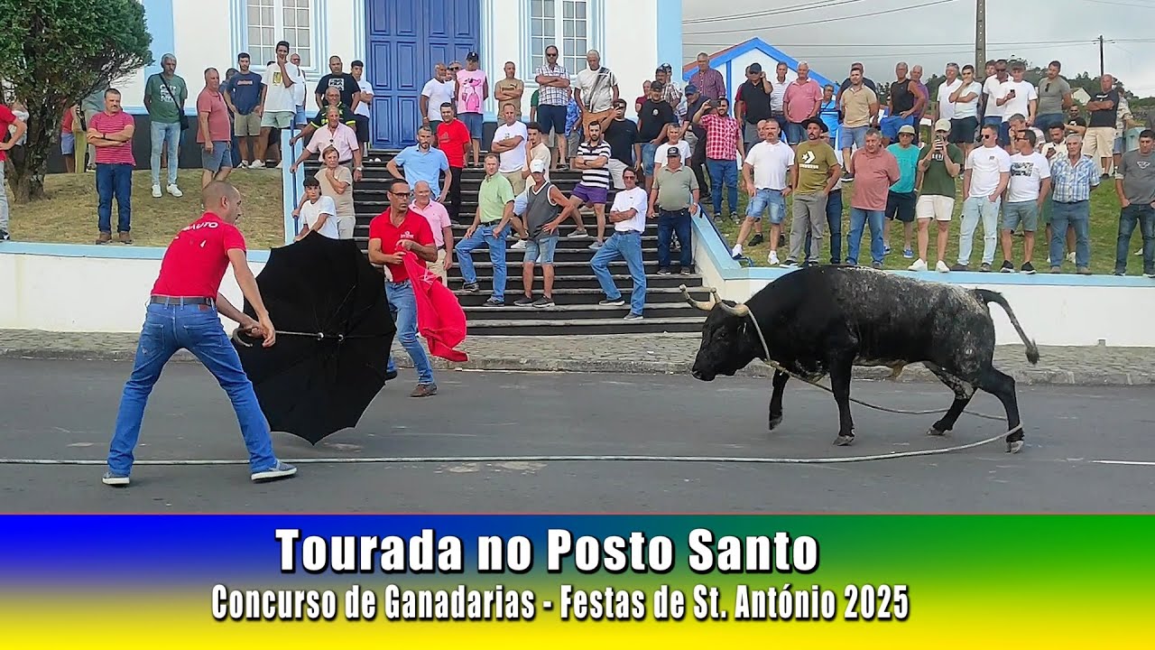 TOURADA no POSTO SANTO | Concurso de Ganadarias (touros AL, ER, JAF, RB) Festas Stº António 2025