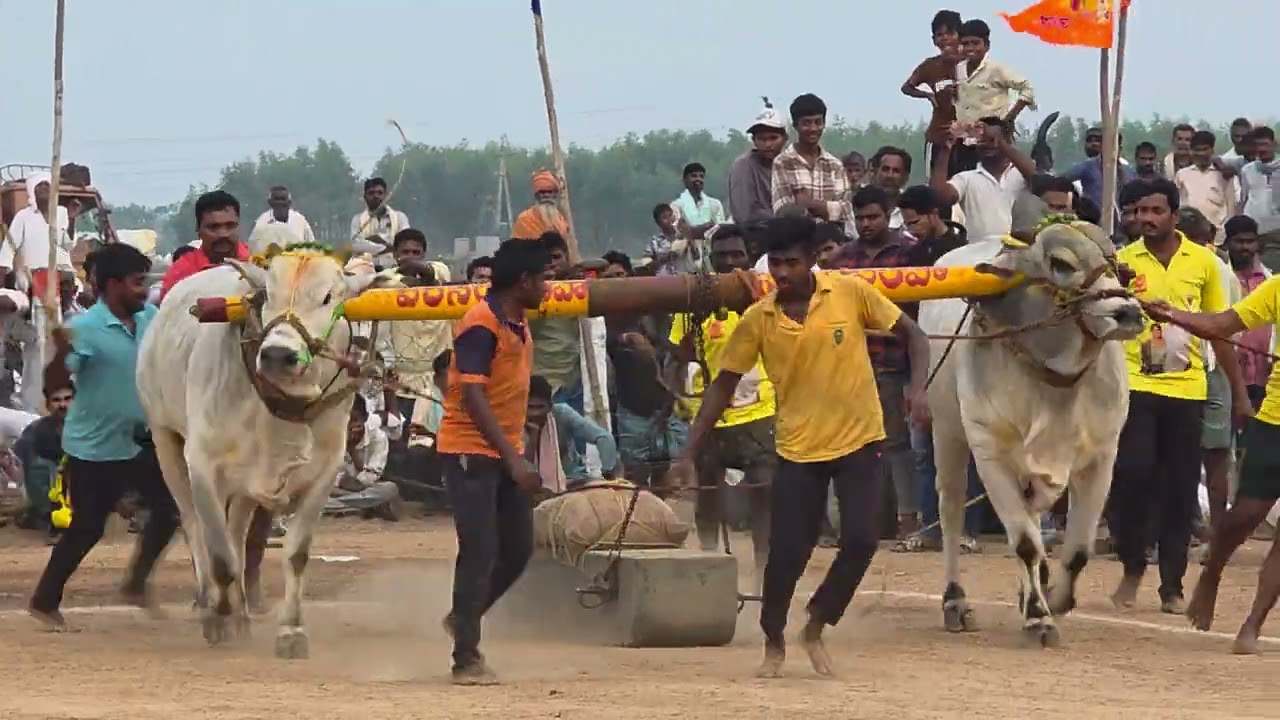 Arunachalam &Nandi got 1st place in Madamanchipadu