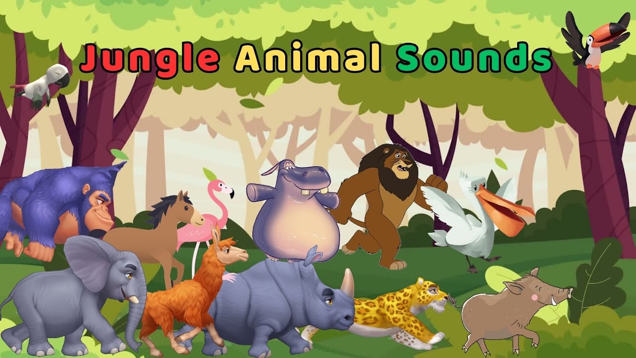 Jungle Animal Sounds Song N24T8 | Nursery Rhymes | Kids TV Education