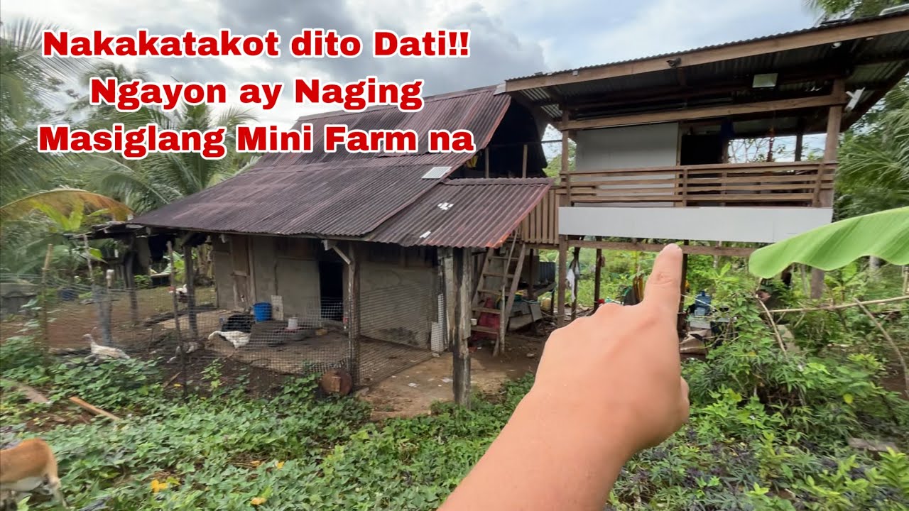 Dating Masukal na Lote Ginawang Farm Update Marami na Alaga | Backyard Farming