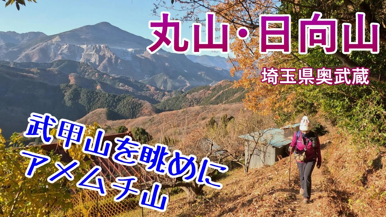 【埼玉県奥武蔵】丸山 日向山 展望の山頂と武甲山ビュ－の縦走路 埼玉百名山【シニア夫婦のゆる登山日記No97】