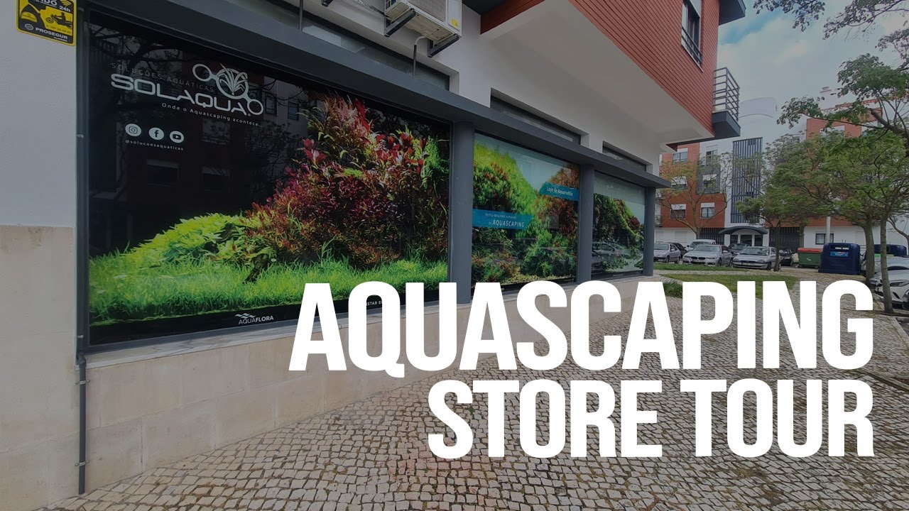 INSIDE A PORTUGUESE AQUASCAPING STORE | SOLUÇÕES AQUÁTICAS FULL TOUR