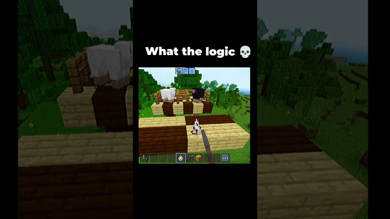 what the logic Minecraft 🥴 