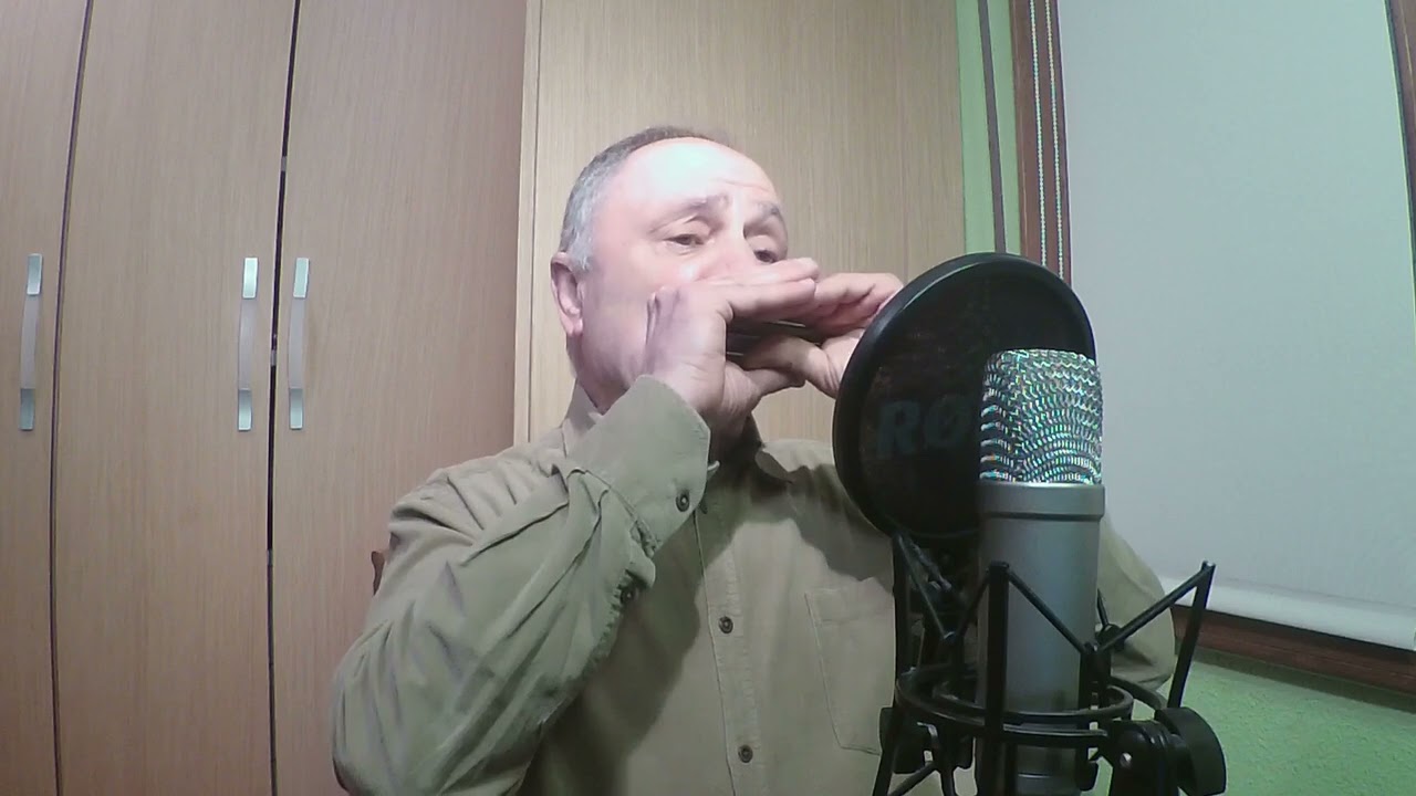 NEIL YOUNG - Heart Of Gold - armónica harmonica (2026)