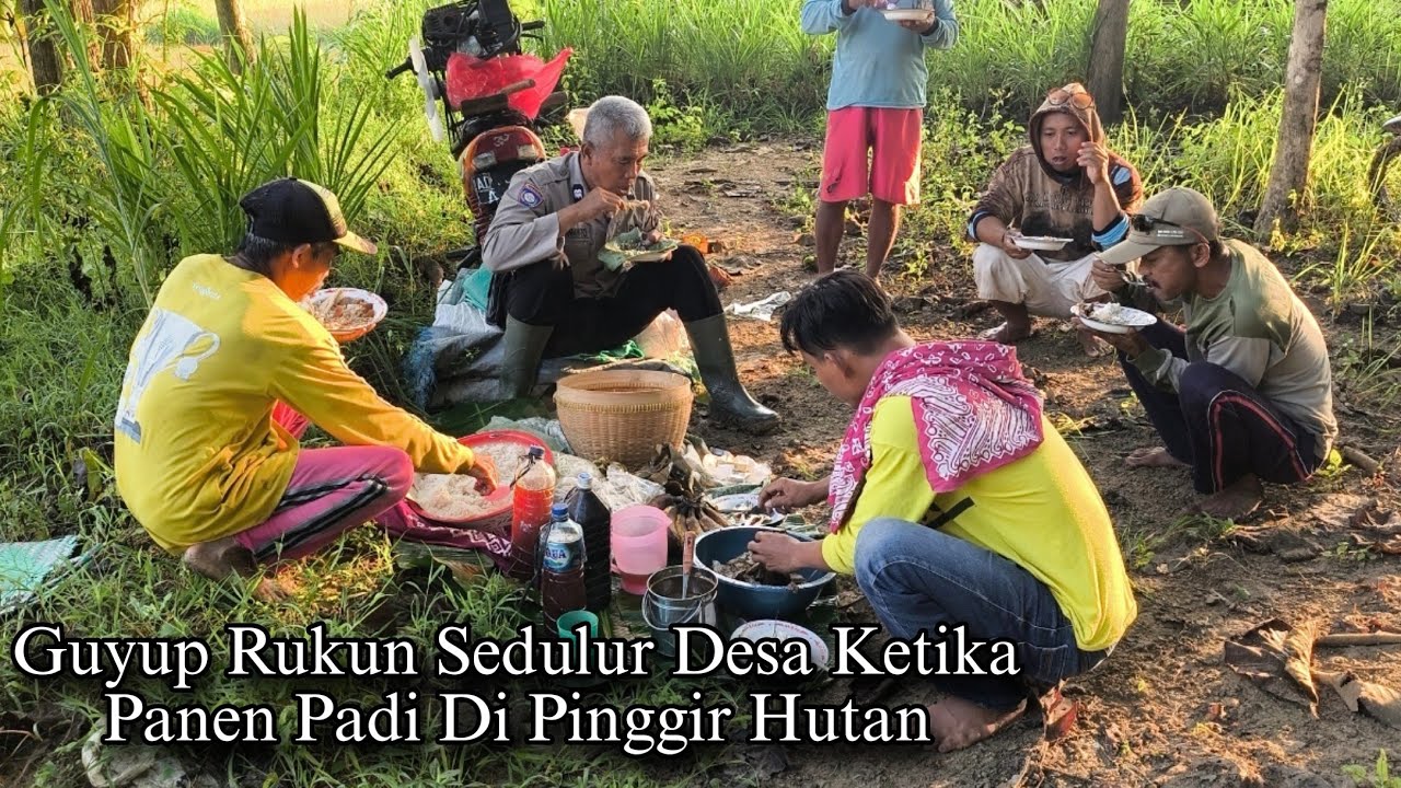 Masih Ada Panen Pagi Menggunakan 