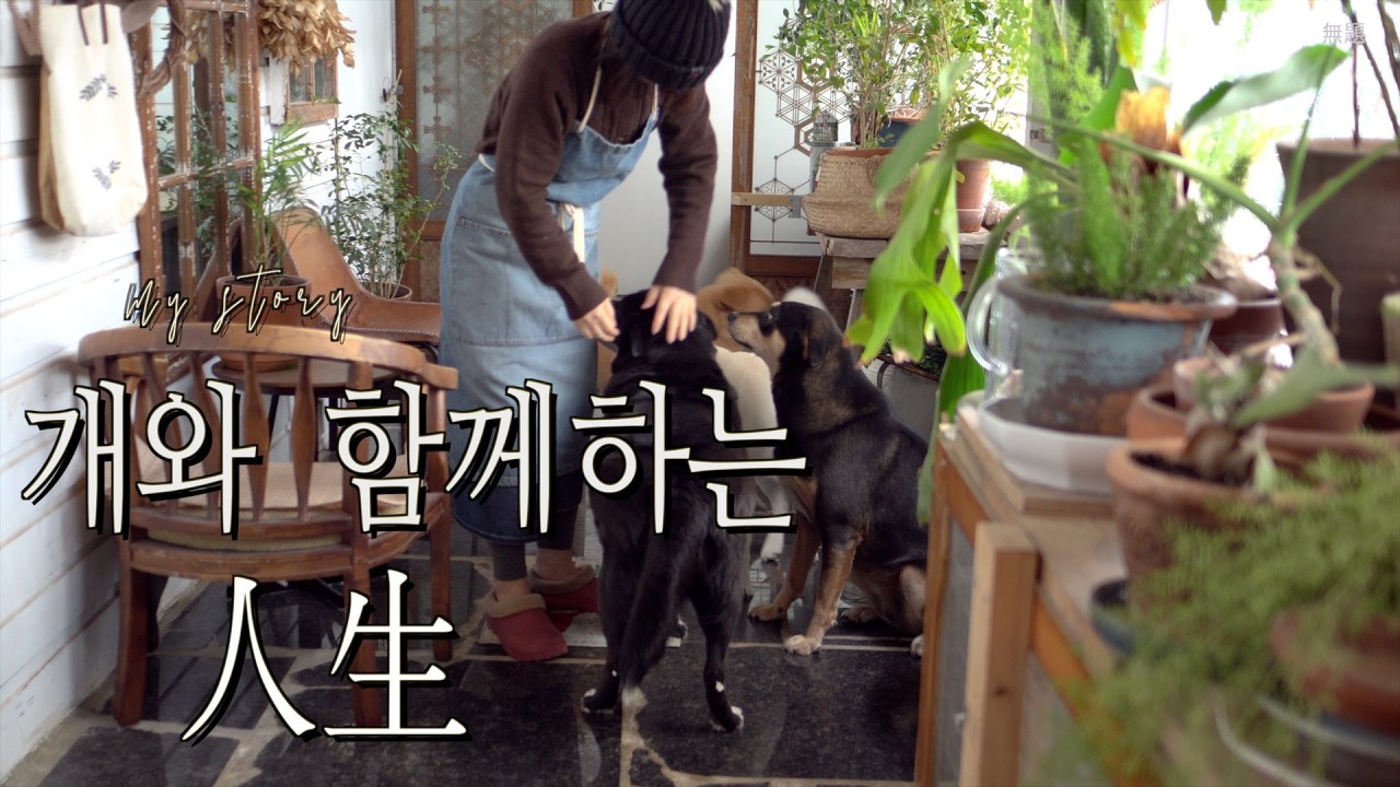 반려견과 지내는 조용한 일상 브이로그 /차분하고 고요한 집콕일상