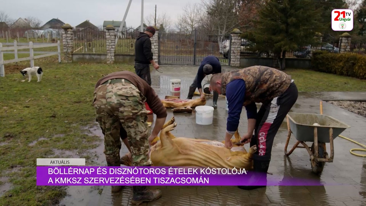 Aktuális (2026.02.05) Böllérnap és disznótoros ételek kóstolója a KMKSZ szervezésében Tiszacsomán