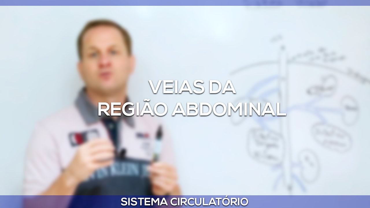Veias da região abdominal