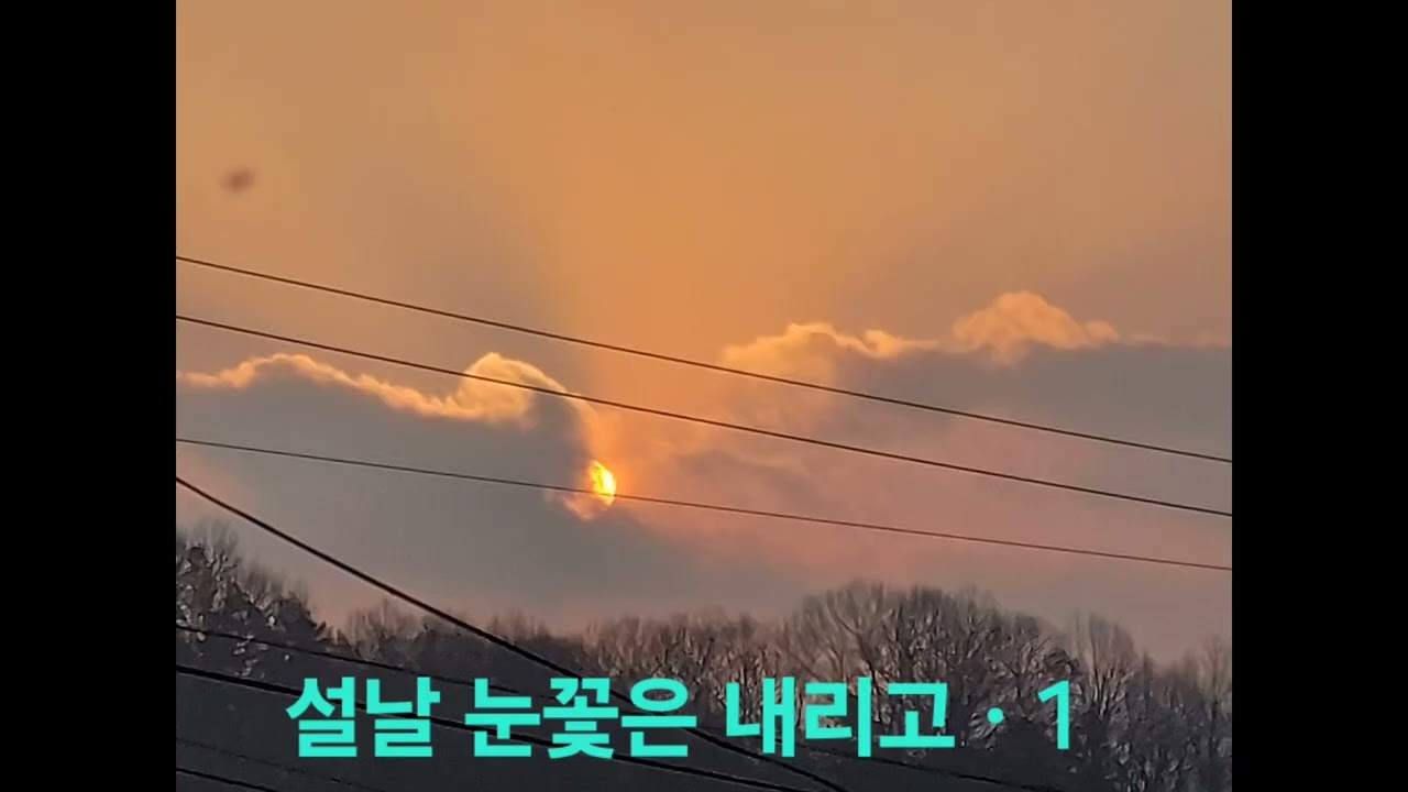 설날 눈꽃은 내리고 2025.01.29