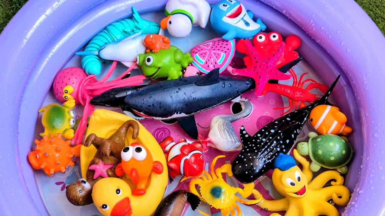Ocean Creatures Learning Playtime for Kids & Toddlers | Fun Sea Animal Names & Sounds