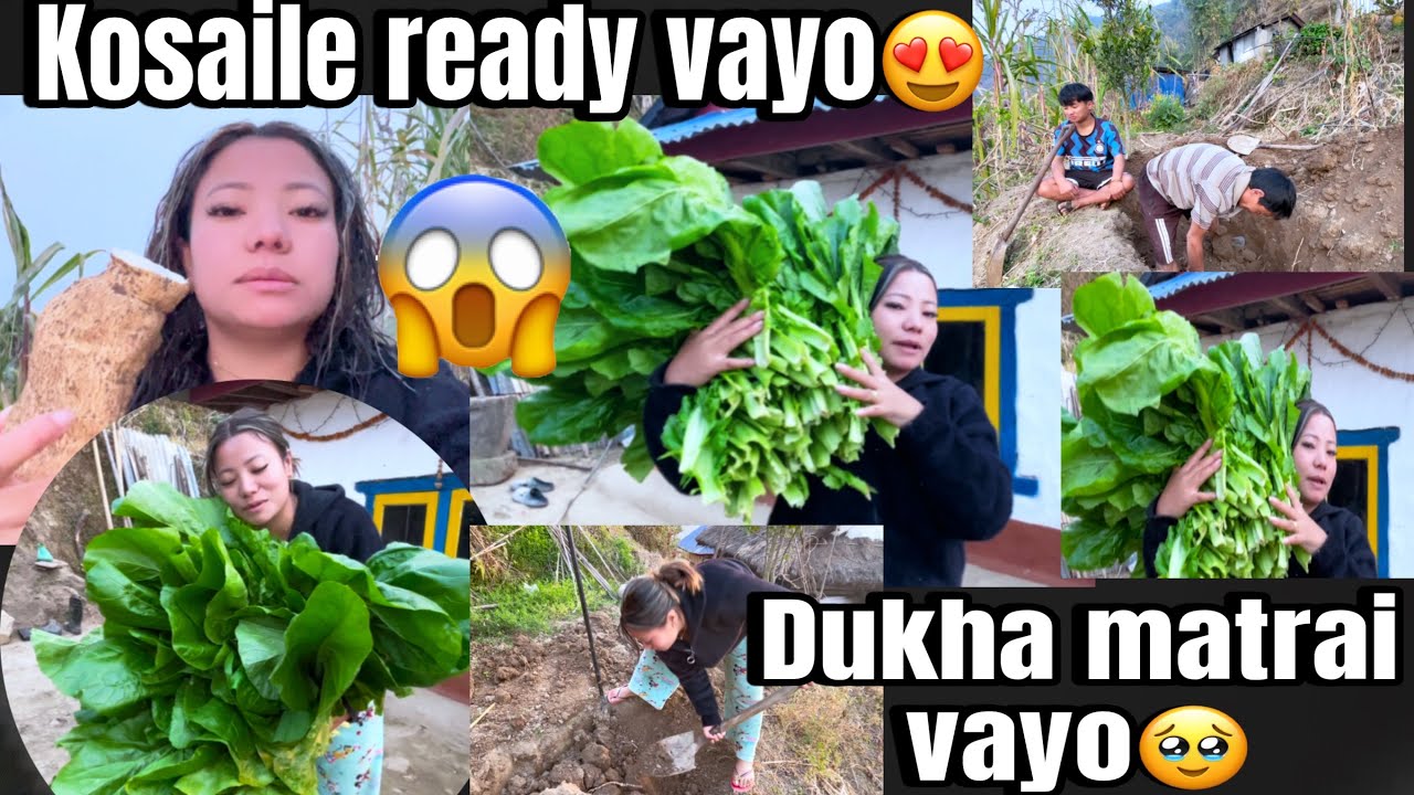 Kosaile ready vayo kaha jadai ma 🤭