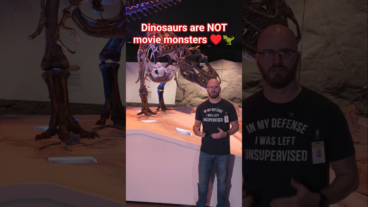 Dinosaurs are NOT movie monsters...they were REAL animals, like our pets ♥️🦖 #dinosaur #science