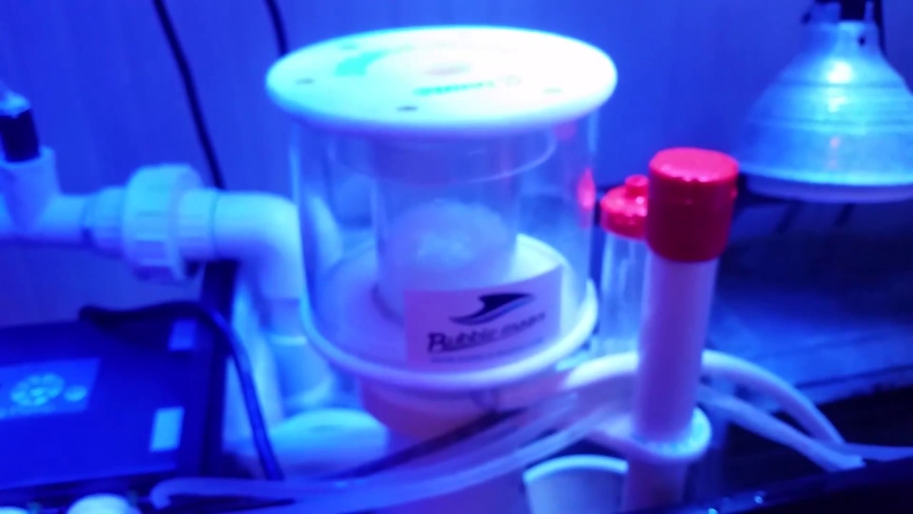 Protein Skimmer Stopped Bubbling - Quick Easy Fix