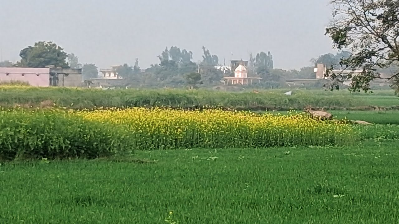 पारंपरिक गीत देहाती देवरानी जेठानी का देहाती वीडियो वायरल वीडियो आप सब जरुरी देखेjaydevtjanpurya 💐👍🙏