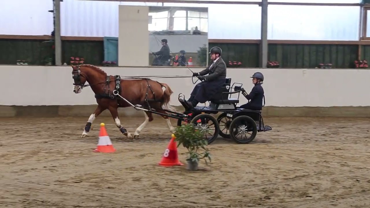 Fahrturnier Velen 8.2.2026 (Sicon Cup)