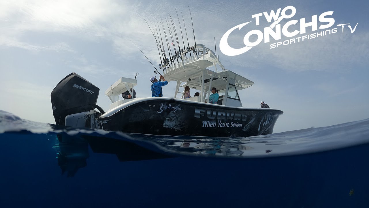 How to cast net BALLYHOO and how to catch MUTTON & YELLOWTAIL SNAPPER - Two Conchs Online TV/Ep 19