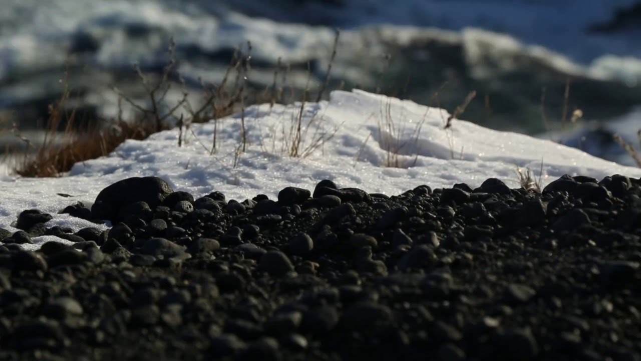 SEEDS - Volunteering For Iceland