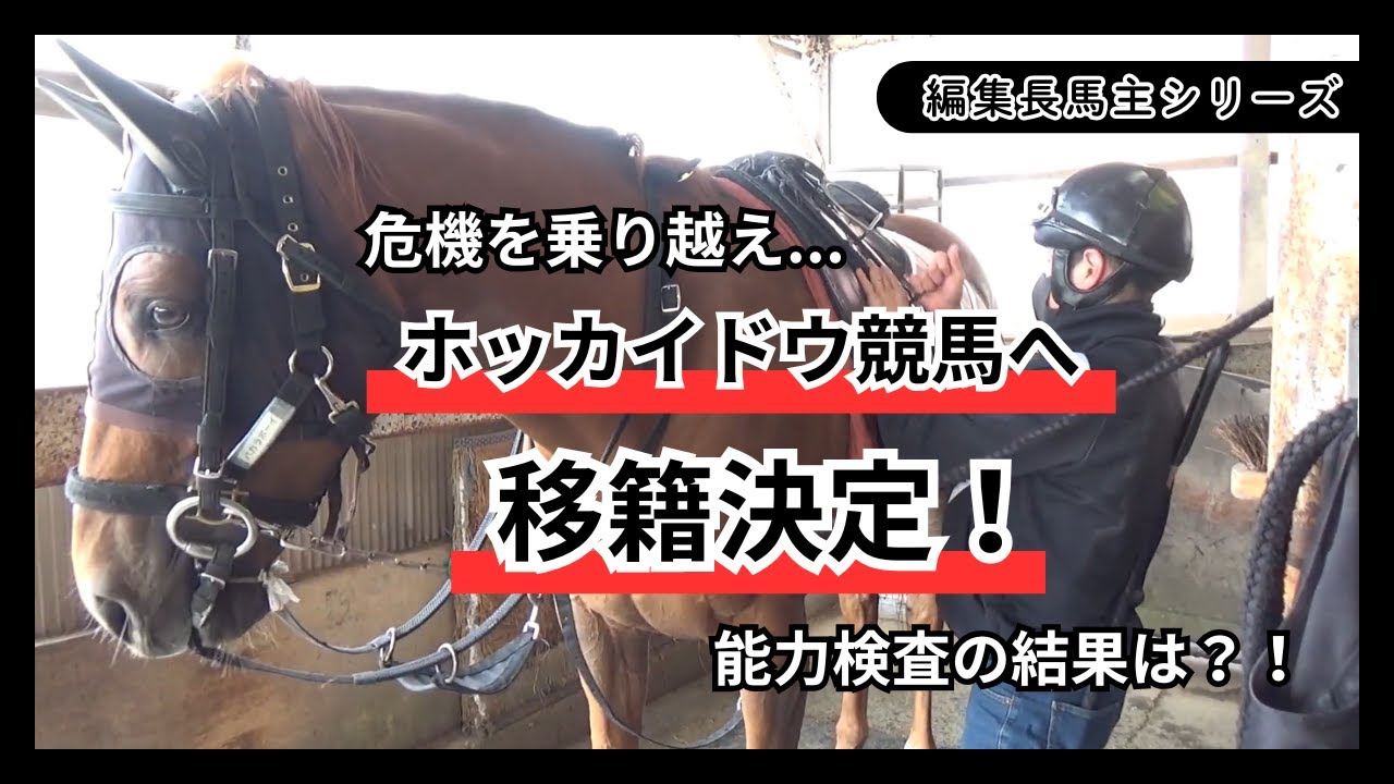 【編集長馬主になる！】#41 危機を乗り越え…ホッカイドウ競馬へ移籍決定！能力検査の結果は？！