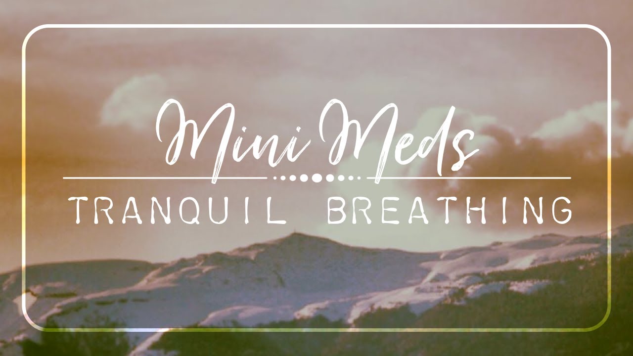 Mini Meditation | TRANQUIL BREATHING | 5 Minute Mindful Breathing Meditation