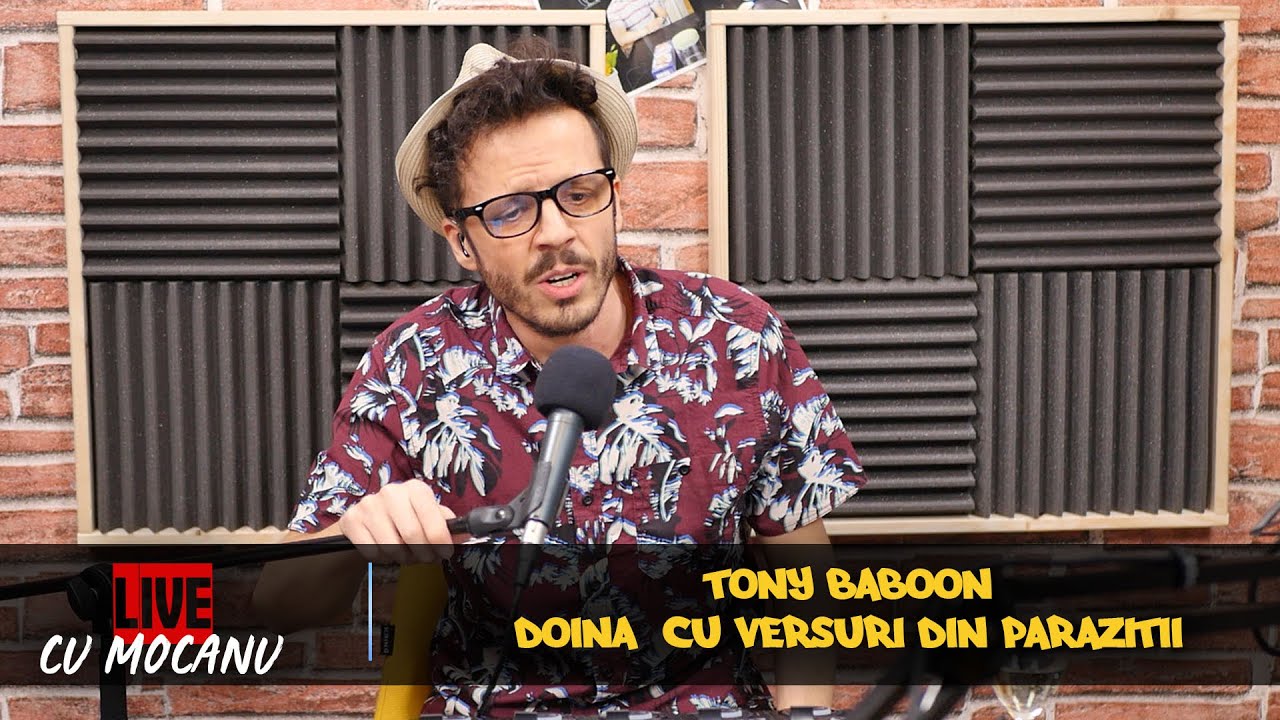 Tony Baboon - Doină cu versuri din Paraziții