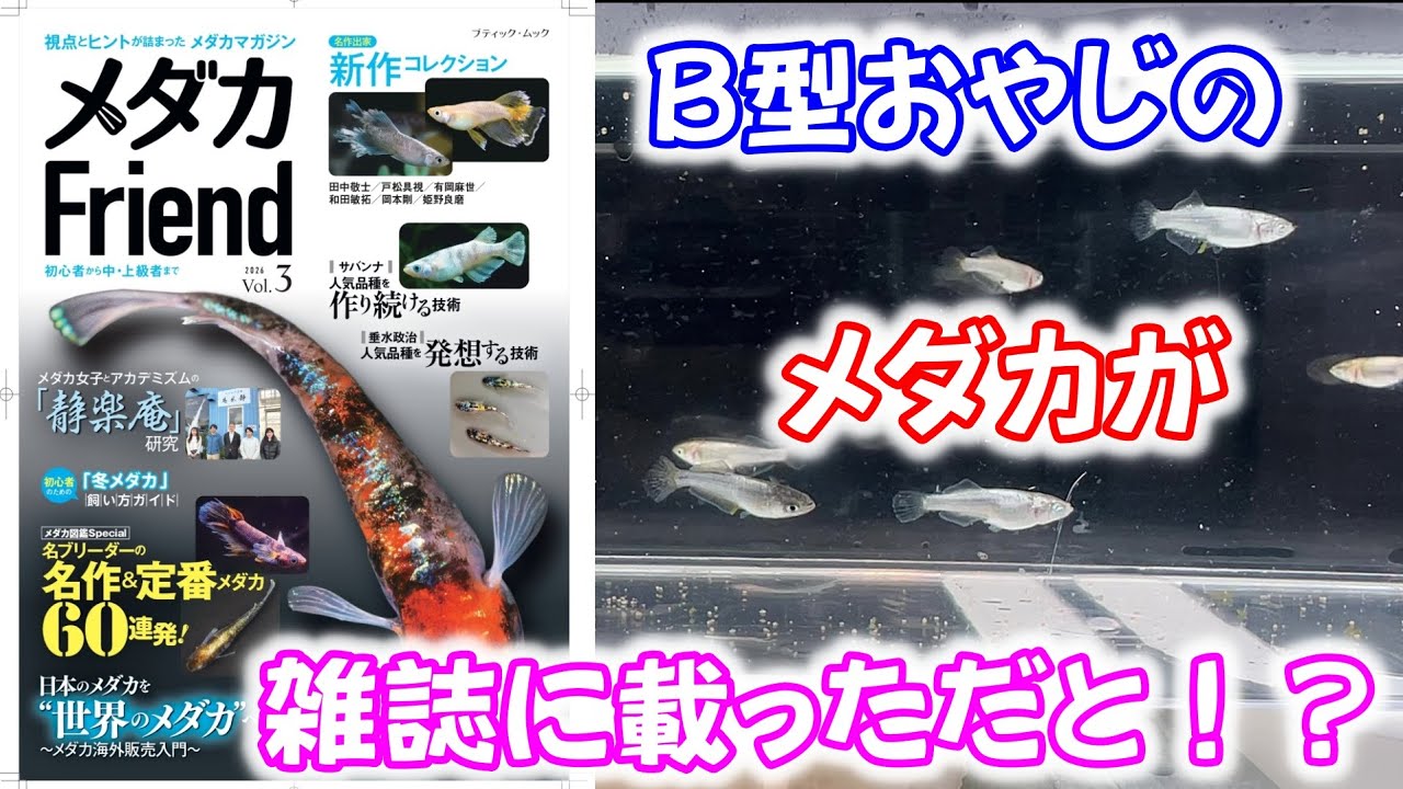 【めだか】本日発売のメダカ雑誌にＢ型おやじのメダカがのっているらしい！　Ｂ型おやじ　2026年　1月　28日　投稿