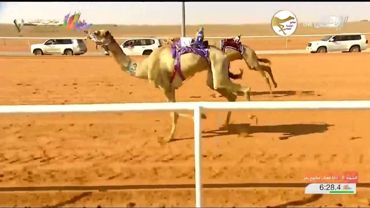 الشوط 2 (سرمد) لـ الشيخ ذياب سيف خليفه آل نهيان 12:27 , مهرجان الملك عبدالعزيز 2023/1/11 ثنايا