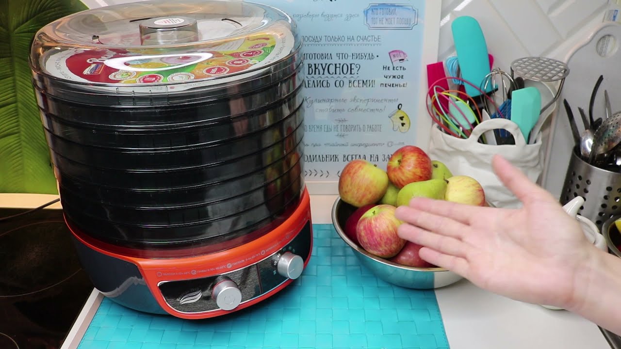 ✔️ЗАГОТАВЛИВАЮ ЯБЛОКИ🍎🍐🍒НЕ ОЖИДАЛА ТАКОГО ОТ СУШИЛКИ⭐Волга 9 Великие реки