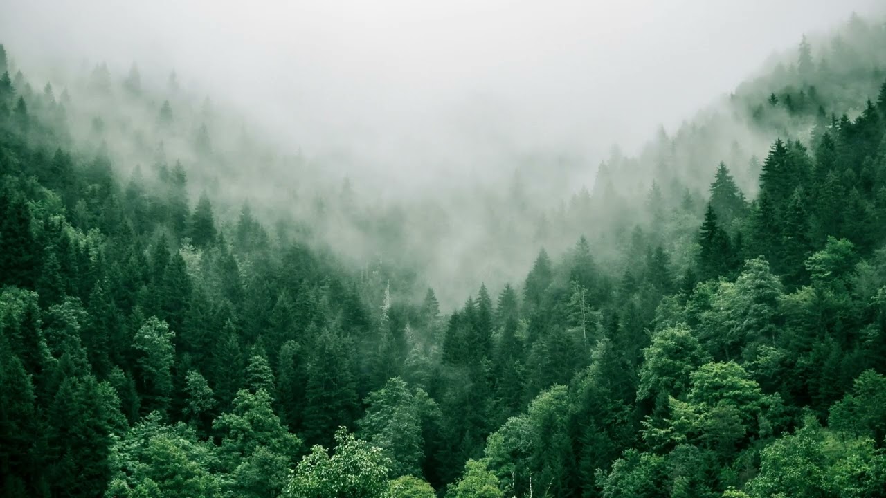 Furkan Senol - Mist