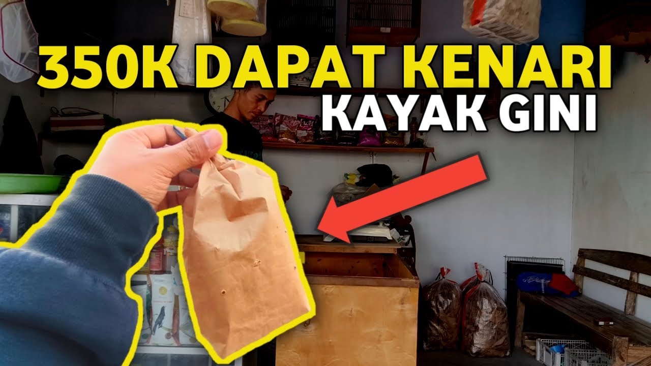 UNBOXING‼️DAPET BAHAN GANTANGAN MURAH KENARI KECIL DI TOKO PAKAN