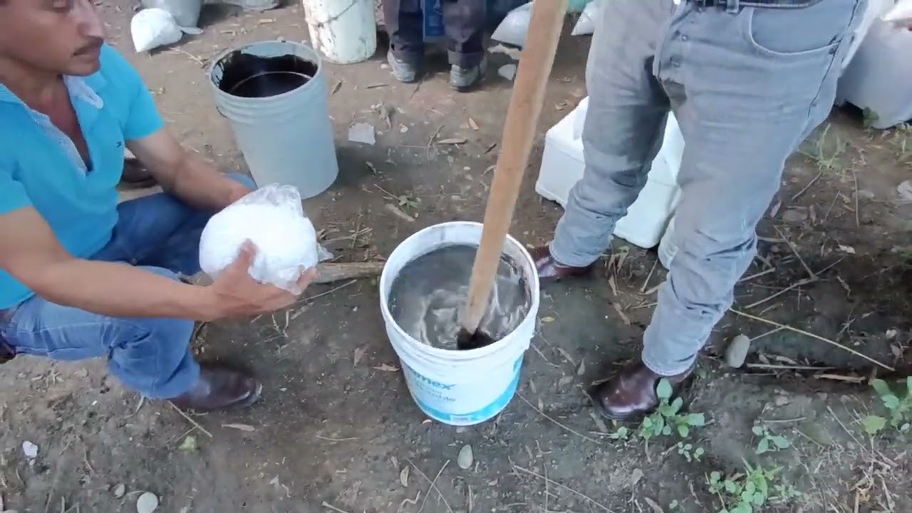 Elaboración de hidrolatos de potasio 