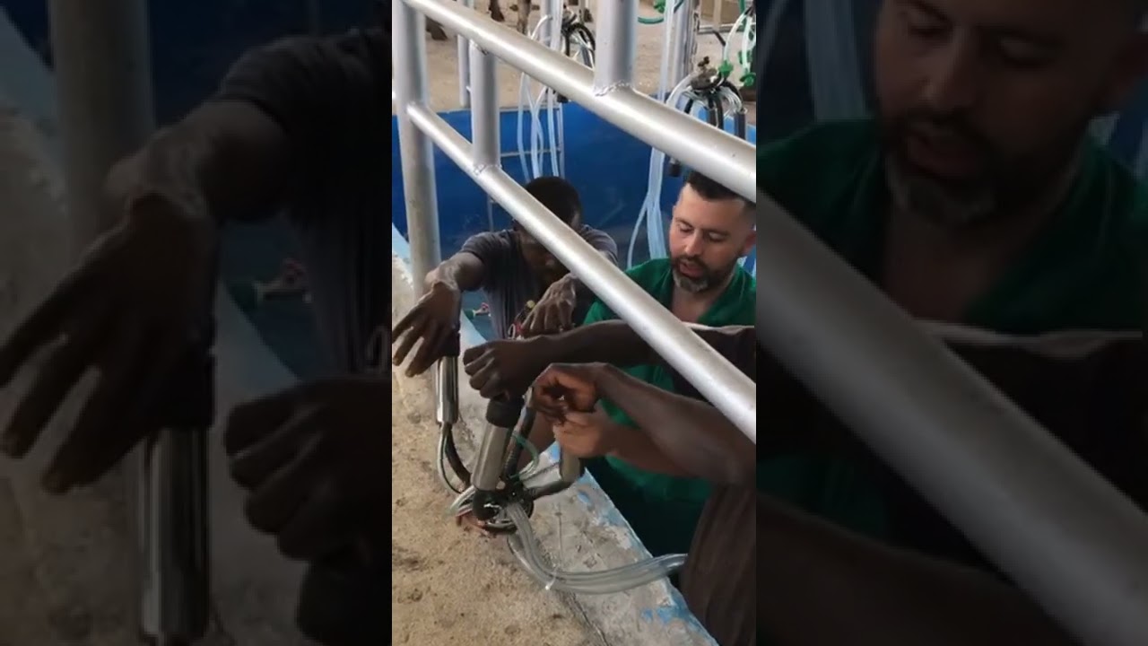 INSTALACI&Oacute;N de un equipo de ORDE&Ntilde;O EUROLATTE de 5 bajadas en forma de p&eacute;ndulo.