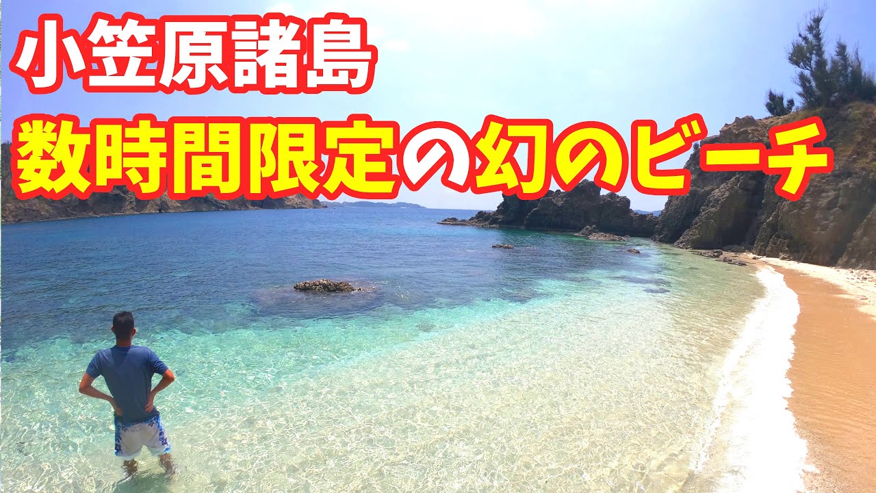 母島観光のおすすめスポット 蓬莱根海岸(小笠原諸島)