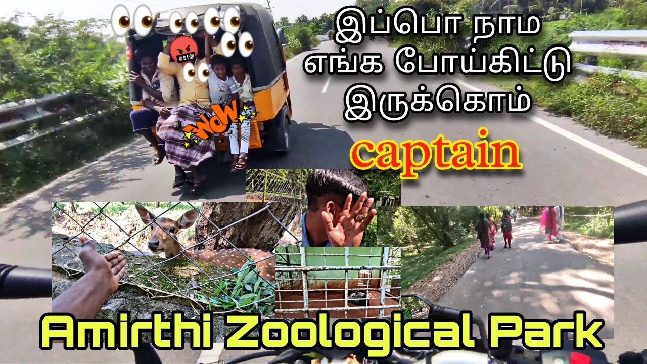 Amirthi zoological park, best place to visit the nature and suitable place for lover 💞