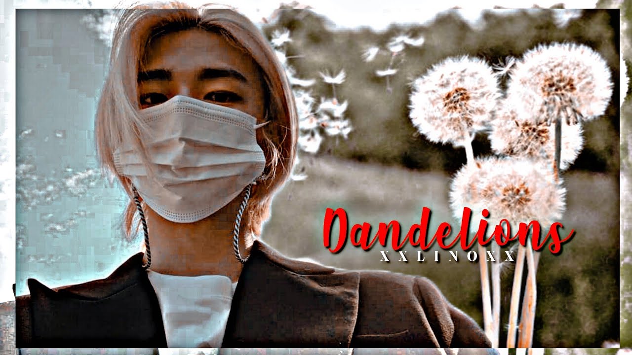 Dandelions » Hyunjin ff