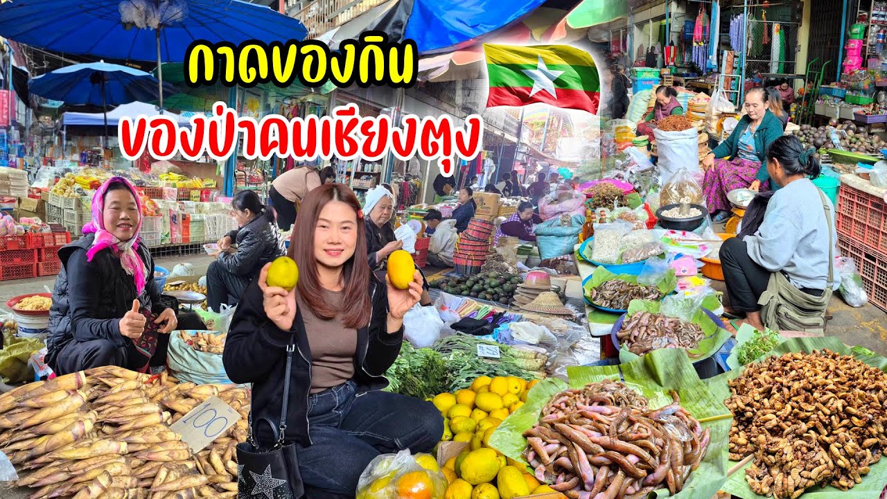 ยกตลาดเชียงตุงไว้ที่นี่! ด้วงจั๊กจั่น ปลาบู่ดอย เห็ดแต๊บป่า หน่อขม บุกป่า กินอาหารไทใหญ่