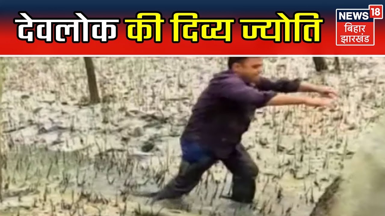 कुछ तो है | सुंदरवन के जंगलो में अद्भुत नज़ारा, घने जंगलो में दिखाई देती है एक अजीब रौशनी