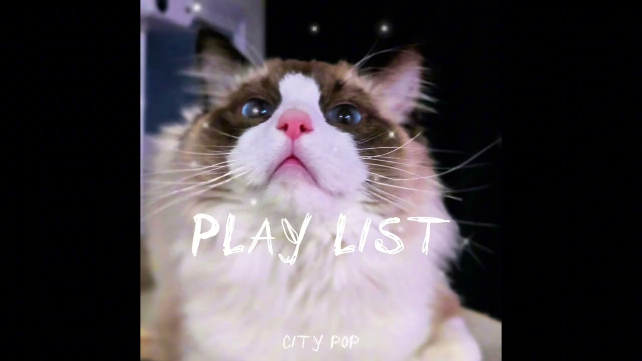 [play list] 퇴근길 드라이브 하며 듣기 좋은 시티팝 모음(city pop 📚)