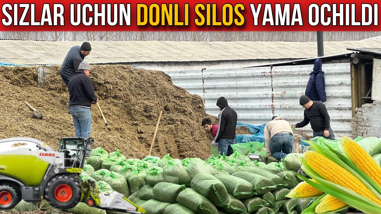 SIZ QIDIRGAN SERDUMBULLI SILOS YAMA #silos #optom #molboqishsirlari
