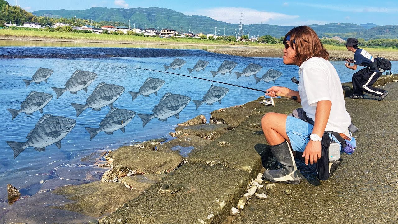 山口でもチヌが異常に爆湧きしてる件について