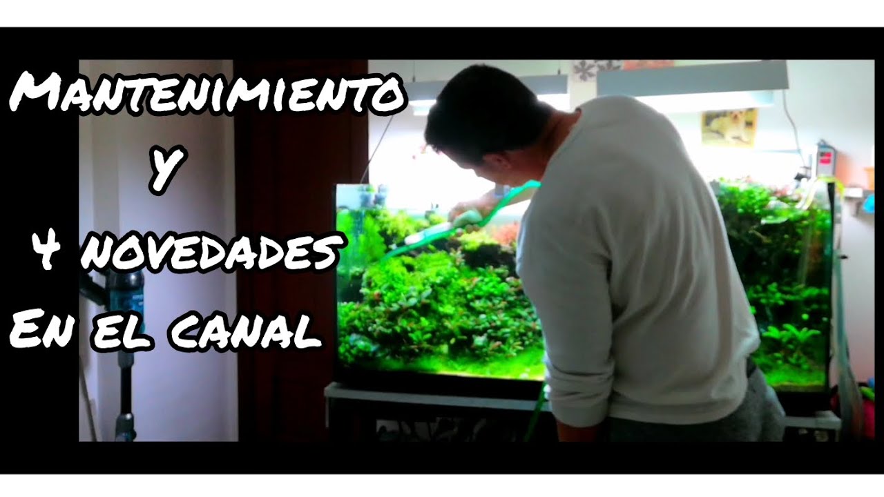 MANTENIMIENTO Y NOVEDADES EN EL CANAL