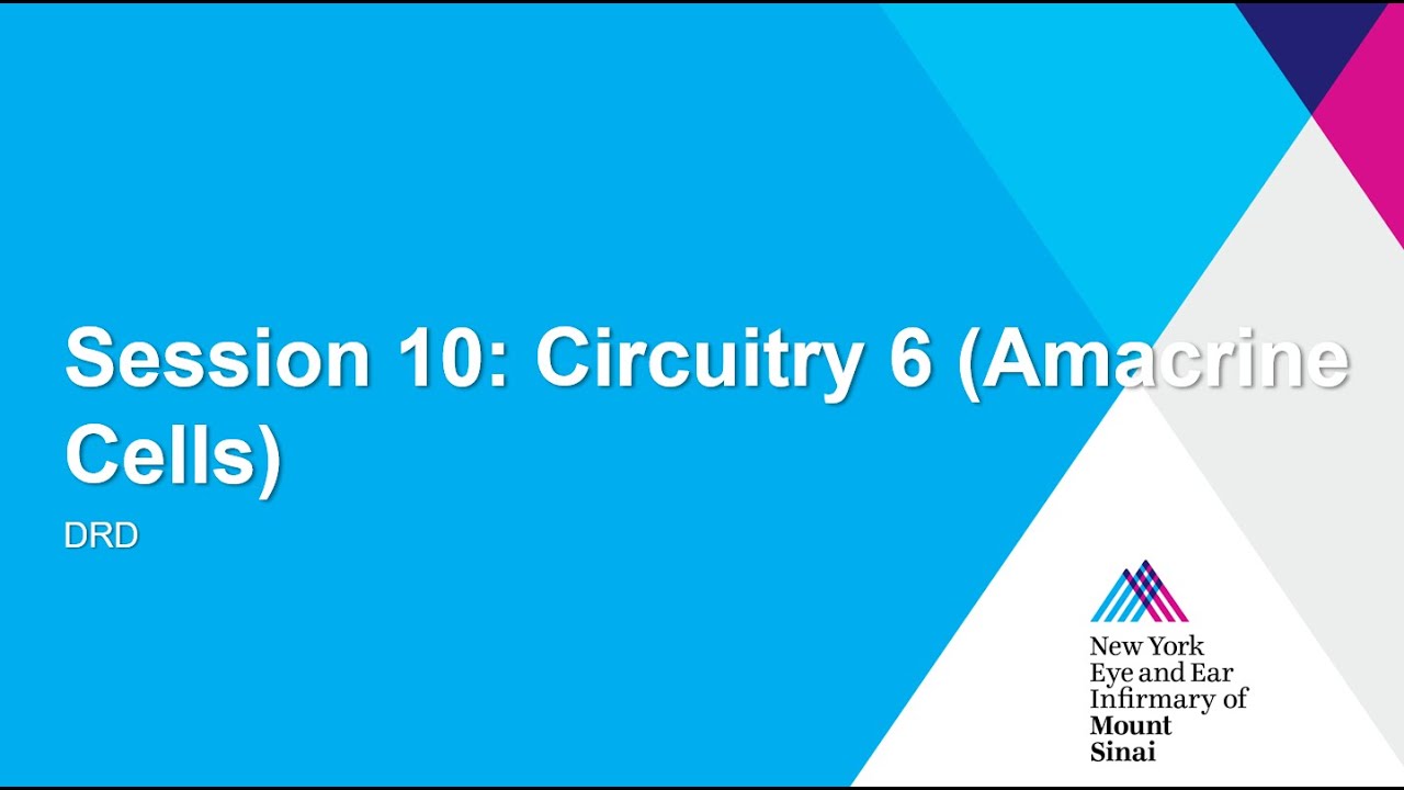 Session 10 - Circuitry 6 (Amacrine Cells)