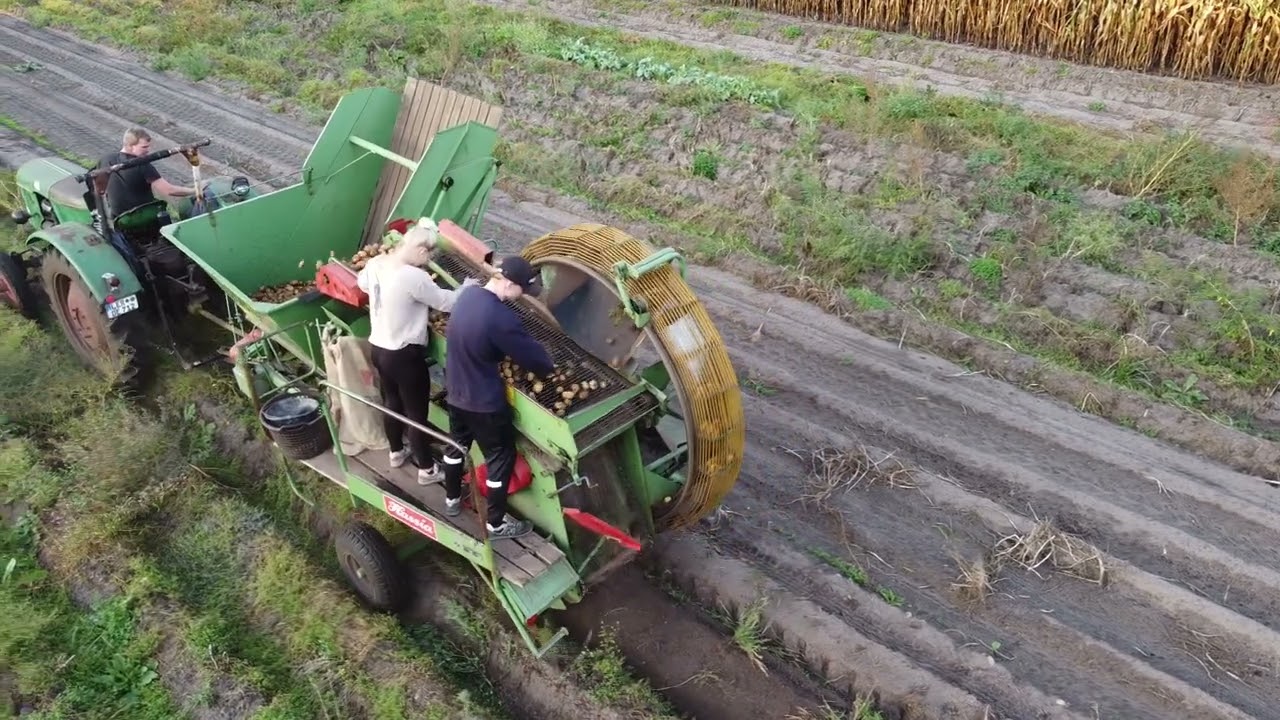 Firrel Elsner mit Deutz D40.1S zu nd Hassia KRB Vollernter am Kartoffeln roden