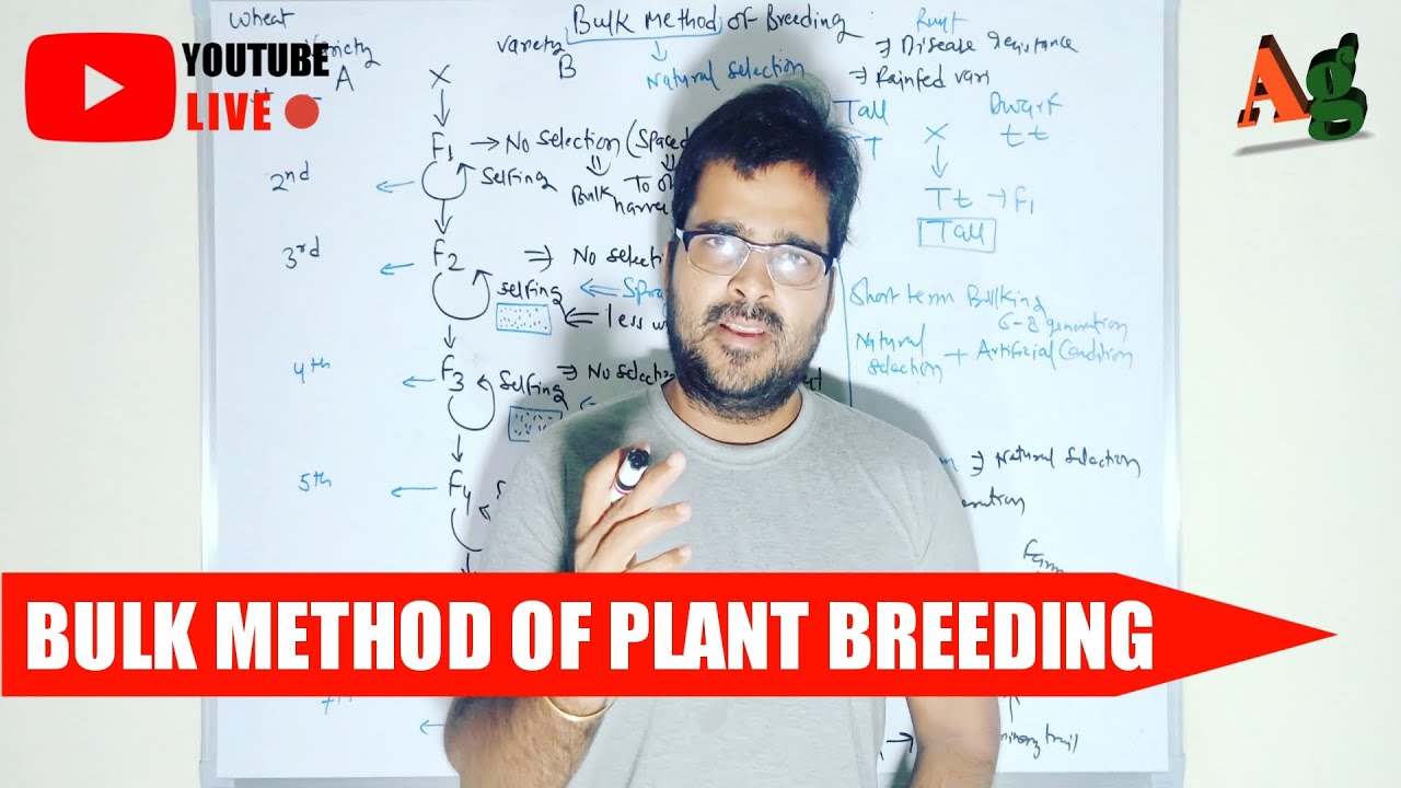 Bulk Method of Plant Breeding | Method of Handling of Segragating Generation | Agriculture