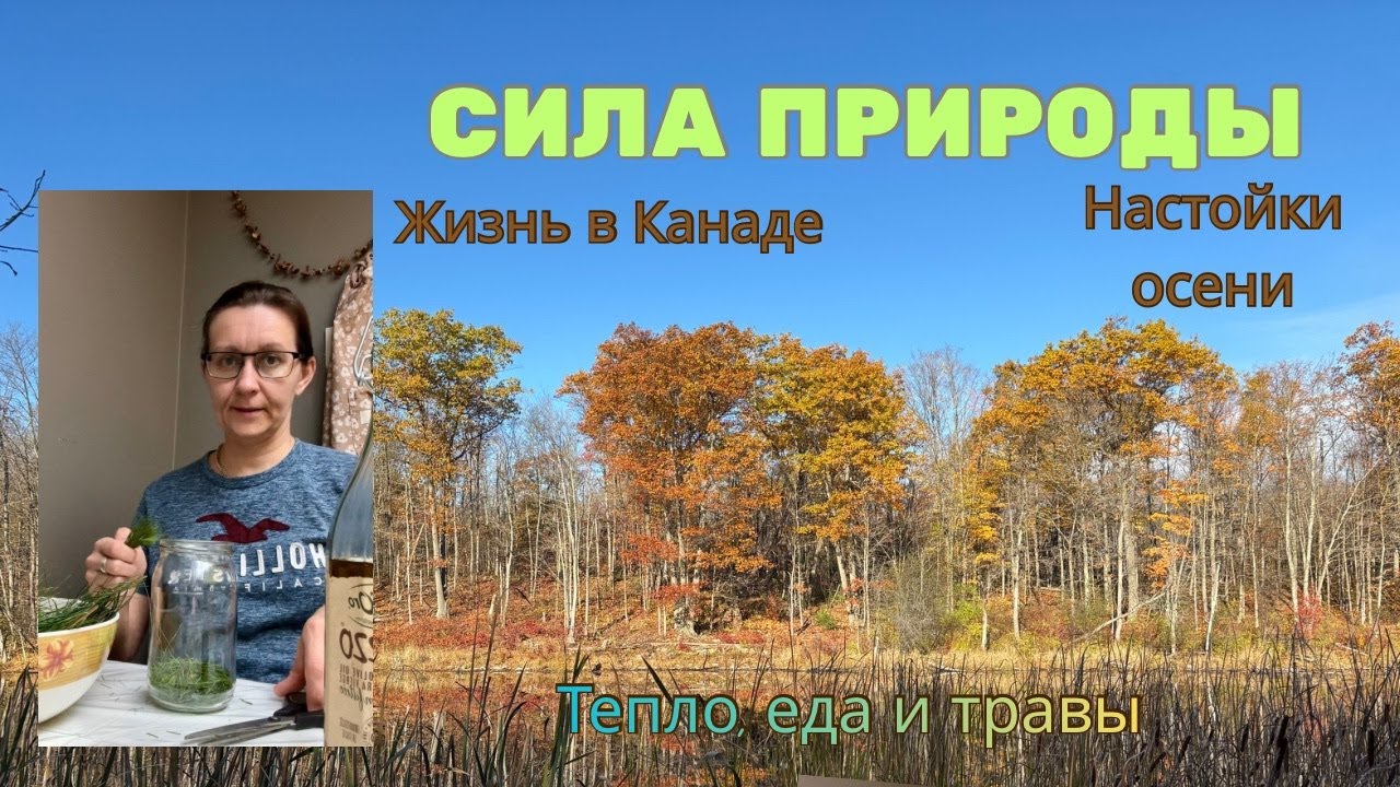 Поздняя Канадская осень | лес и домашние настойки 🍂 Простая жизнь, еда и сила природы