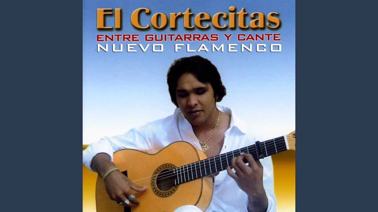 Soniquetazo (Bulerías Version)